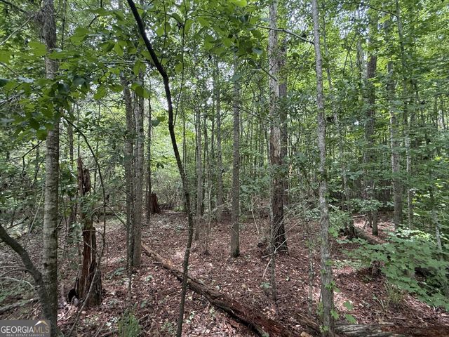 50 Harvest Road, Coleman, GA 39836