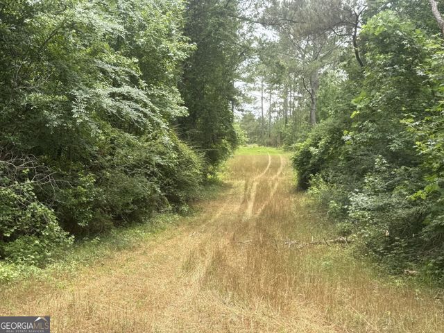 50 Harvest Road, Coleman, GA 39836