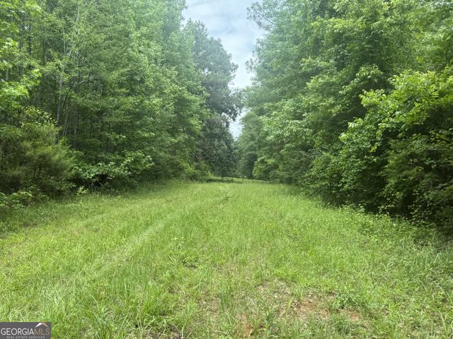 50 Harvest Road, Coleman, GA 39836