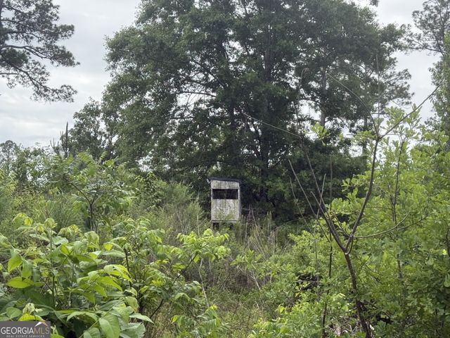 50 Harvest Road, Coleman, GA 39836
