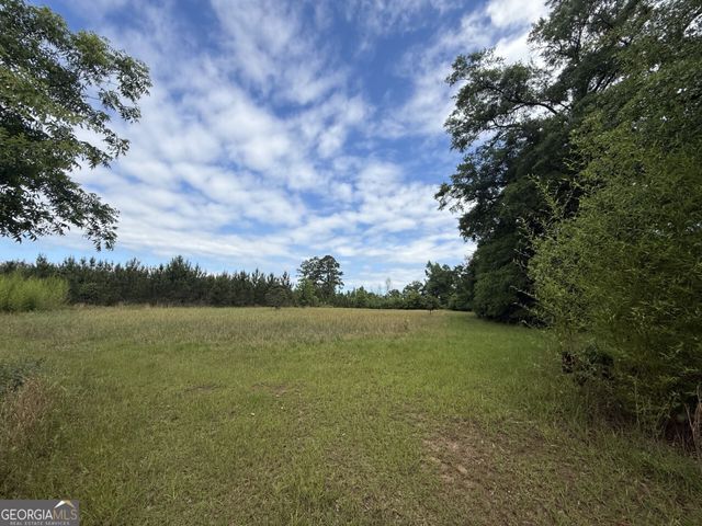 50 Harvest Road, Coleman, GA 39836