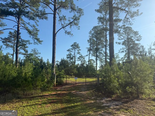 50 Harvest Road, Coleman, GA 39836