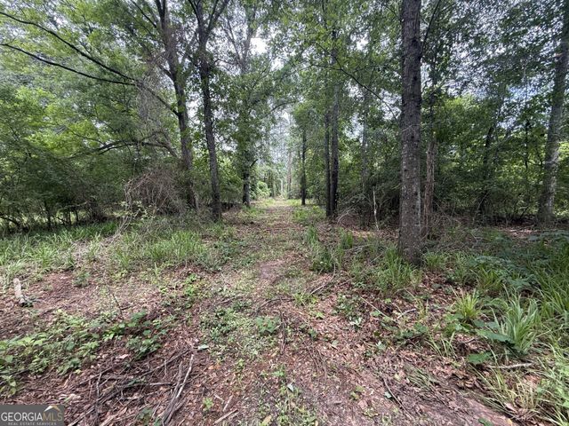 50 Harvest Road, Coleman, GA 39836