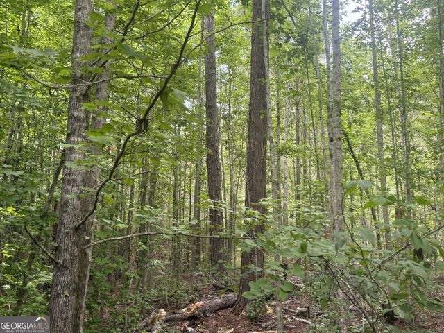 50 Harvest Road, Coleman, GA 39836