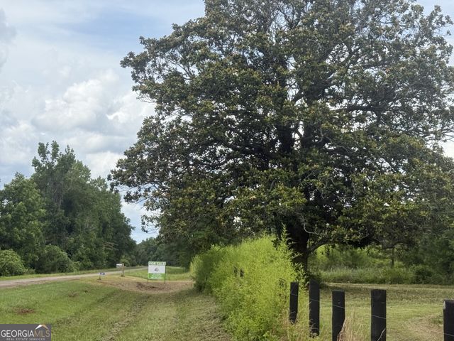50 Harvest Road, Coleman, GA 39836
