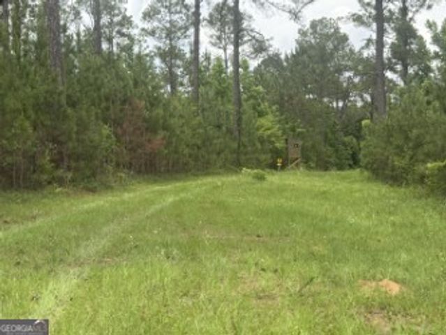 50 Harvest Road, Coleman, GA 39836