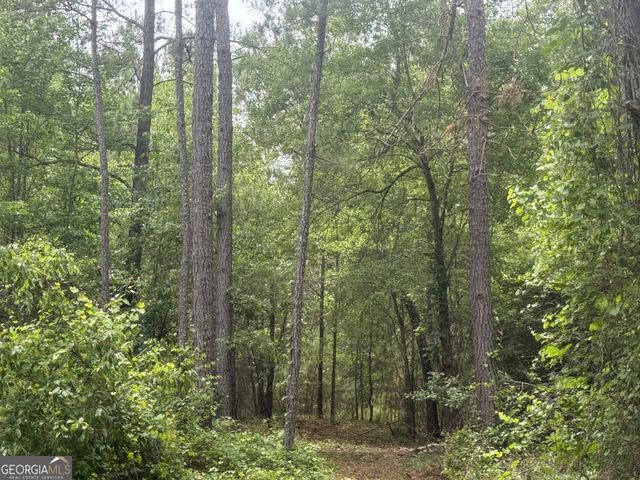 50 Harvest Road, Coleman, GA 39836