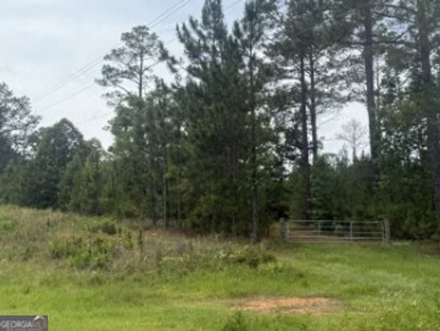 50 Harvest Road, Coleman, GA 39836