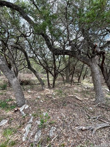 24814 Creek, San Antonio, TX 78266