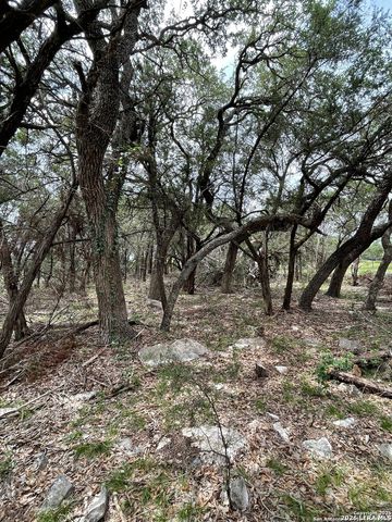 24814 Creek, San Antonio, TX 78266