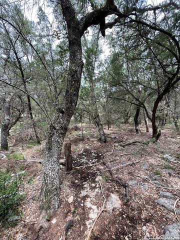 24814 Creek, San Antonio, TX 78266