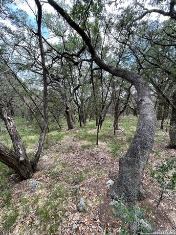 24814 Creek, San Antonio, TX 78266