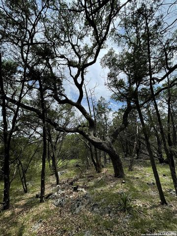24814 Creek, San Antonio, TX 78266