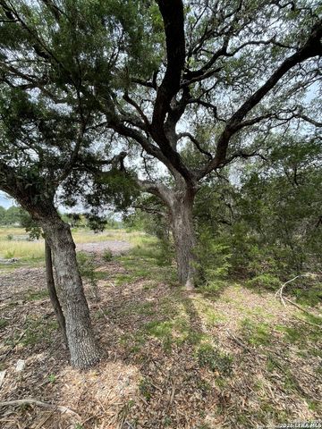 24814 Creek, San Antonio, TX 78266