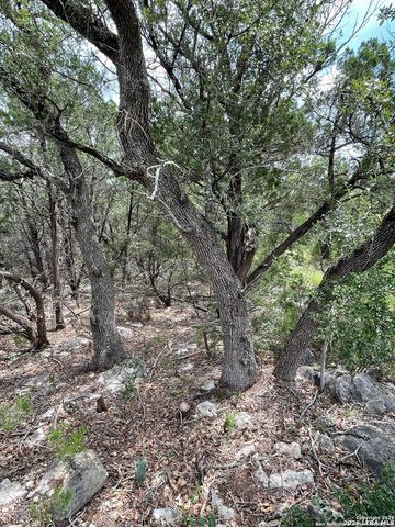 24814 Creek, San Antonio, TX 78266