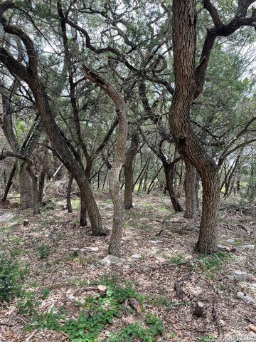 24814 Creek, San Antonio, TX 78266