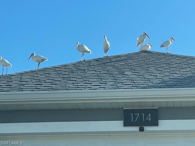 1714 NW 17th TER, Cape Coral, FL 33993