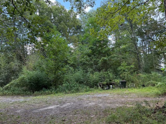 1151 -1b Orangeburg Road, Summerville, SC 29483