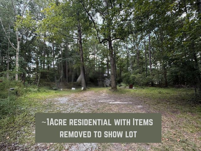 1151 -1b Orangeburg Road, Summerville, SC 29483