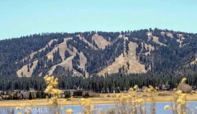 325 W Fairway Boulevard, Big Bear City, CA 92314