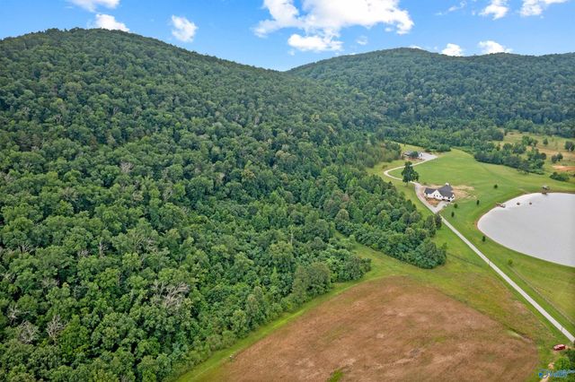 10.0 Crimson Lake Drive, Glencoe, AL 35905