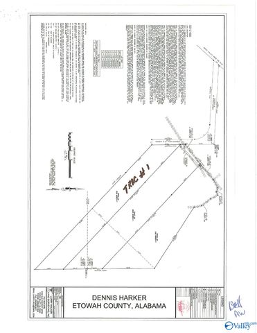 10.0 Crimson Lake Drive, Glencoe, AL 35905