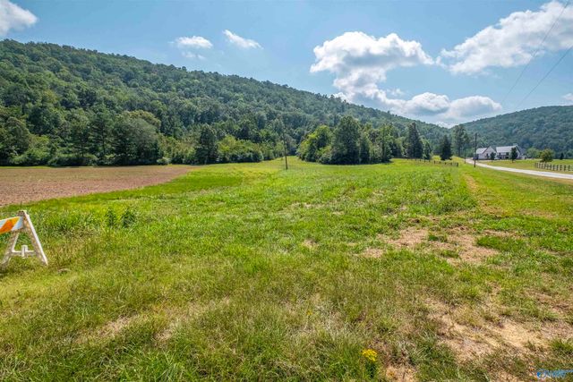 10.0 Crimson Lake Drive, Glencoe, AL 35905