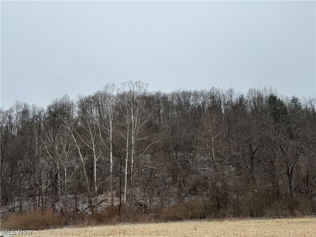 35515 State Route 800, Sardis, OH 43946