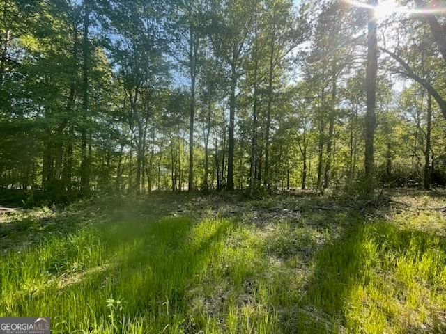 815 Aj Irvin, Talmo, GA 30575