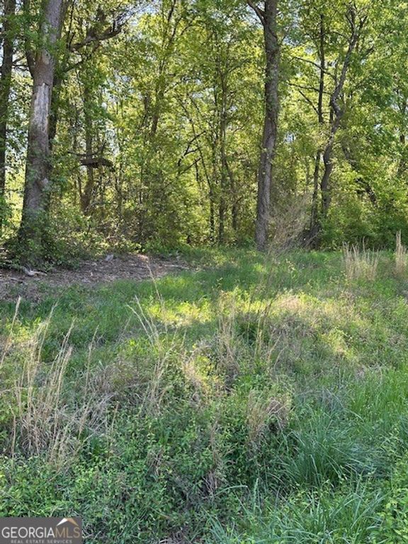 815 Aj Irvin, Talmo, GA 30575