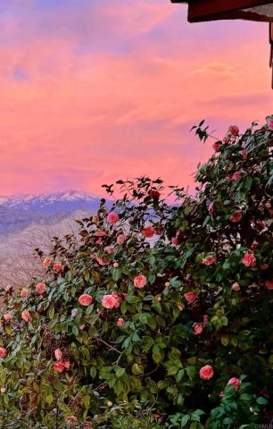 26500 Rim Road, Hemet, CA 92544