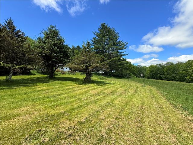 2113 Prosser Hollow Road, Davenport, NY 13820