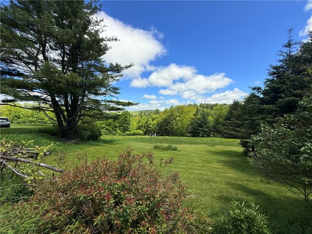 2113 Prosser Hollow Road, Davenport, NY 13820