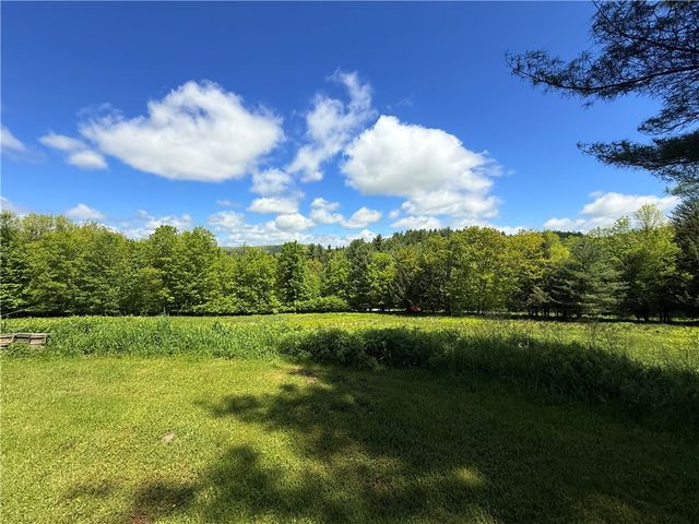 2113 Prosser Hollow Road, Davenport, NY 13820