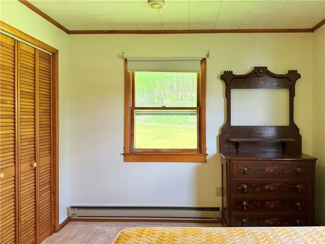 2113 Prosser Hollow Road, Davenport, NY 13820