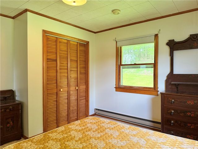 2113 Prosser Hollow Road, Davenport, NY 13820