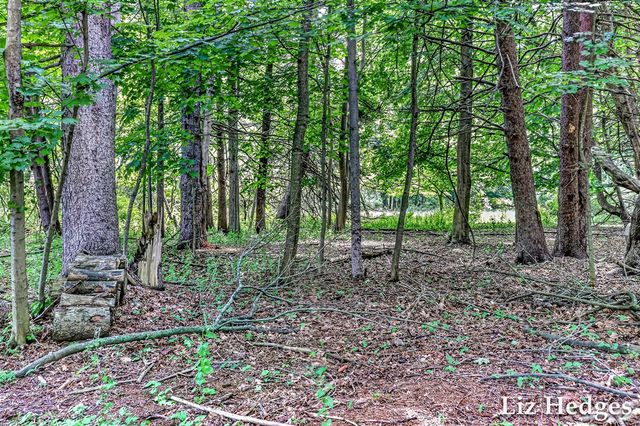 6285 S Shore, Whitehall, MI 49461
