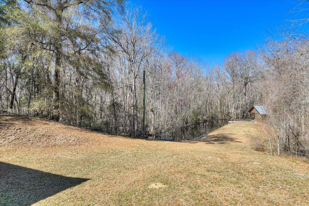 Image 66 of property listing at 1114 LOTT BLUFF Road, Blackville, SC 29817