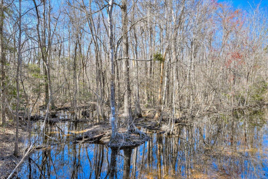 Image 68 of property listing at 1114 LOTT BLUFF Road, Blackville, SC 29817