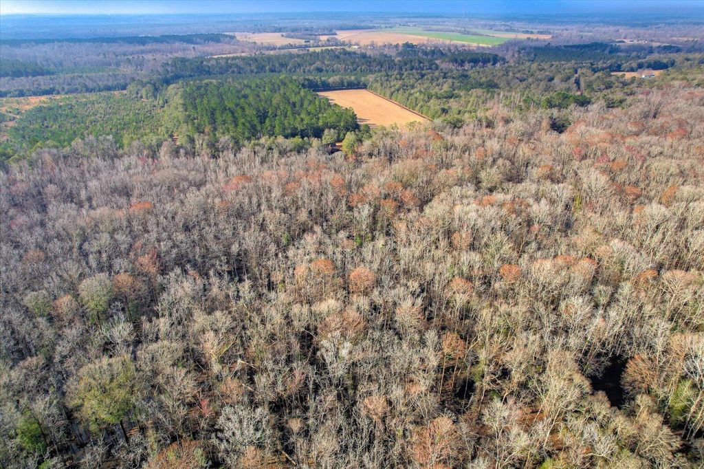 Image 72 of property listing at 1114 LOTT BLUFF Road, Blackville, SC 29817