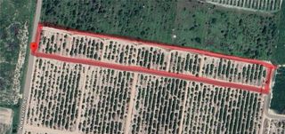 00 N Western Road, Edinburg, TX 78541