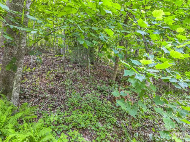 00 Rainbow Circle 11, Lake Lure, NC 28746