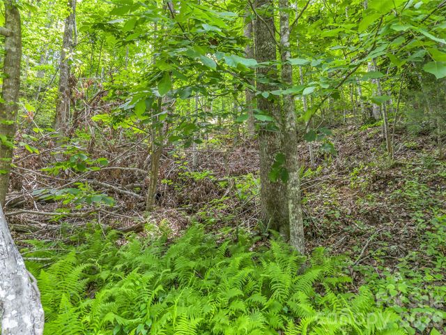 00 Rainbow Circle 11, Lake Lure, NC 28746