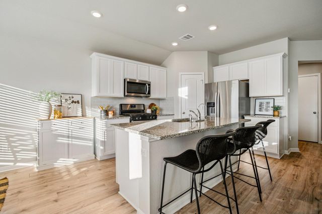 208 Royal Palm WAY, Leander, TX 78641