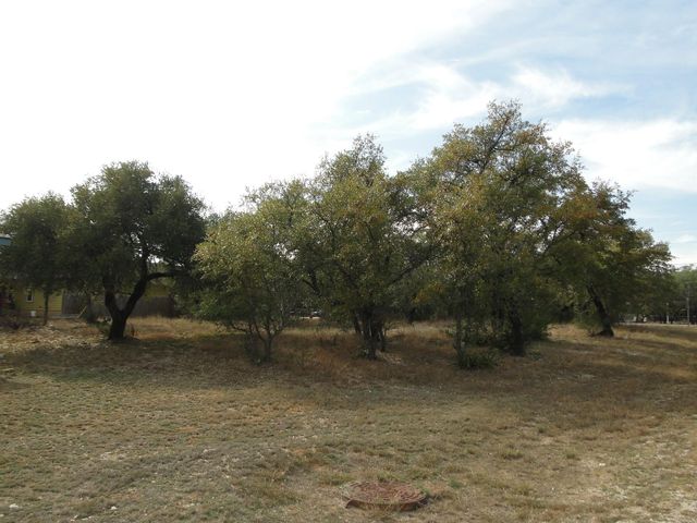 107 W Dawn DR, Johnson City, TX 78636