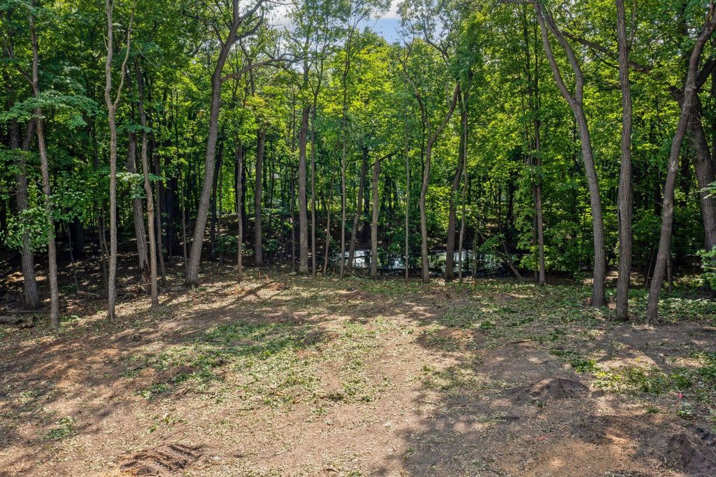 601 Fox Hill Drive, Chanhassen, MN 55317 — photo 2