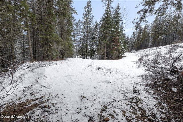 84 Hagans Hallow Rd, Careywood, ID 83809