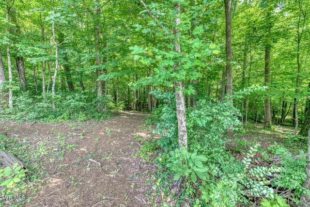 2908 Carroll Creek Road, Johnson City, TN 37615