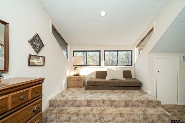 132 Pine Glen Lane, Holly Lake Ranch, TX 75765