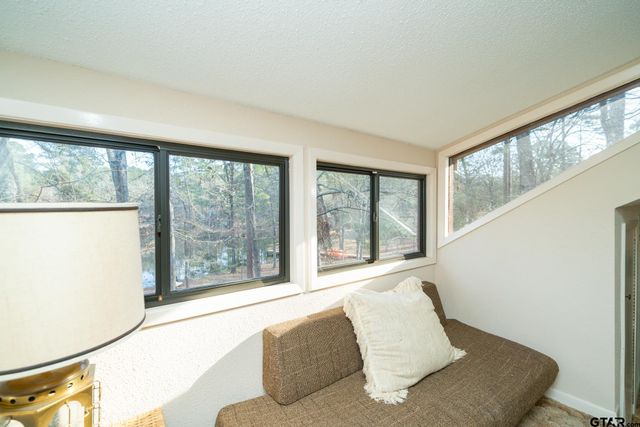 132 Pine Glen Lane, Holly Lake Ranch, TX 75765